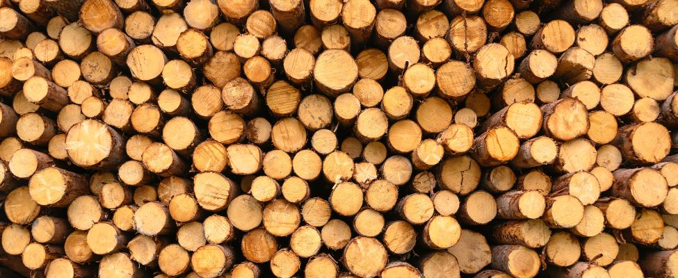 EUTR Регламент Европейского союза о лесоматериалах