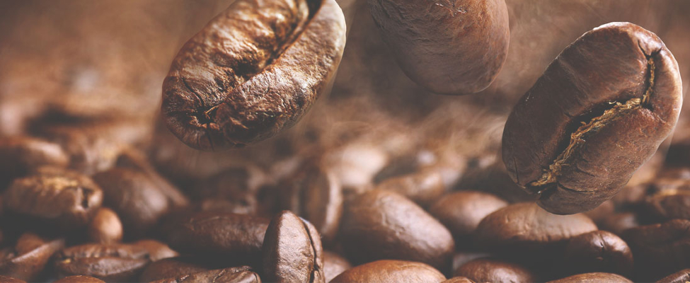 Какао, кофе, чай и фундук, сертифицированные Rainforest Alliance